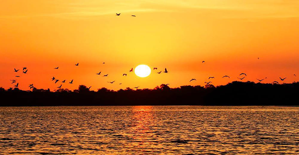 Tumbes