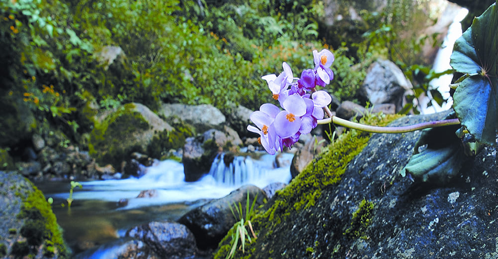 Cusco - Aguas Calientes