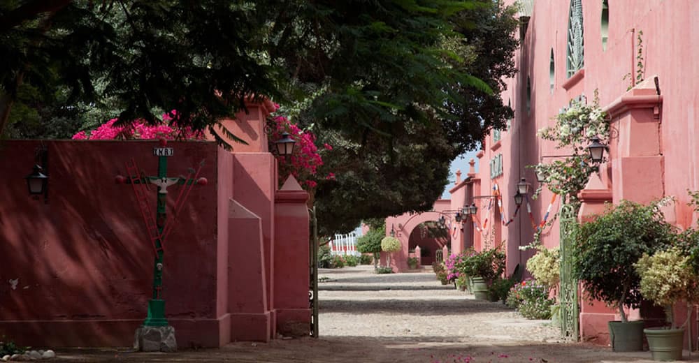 Ica - Pisco