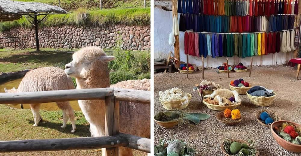 Cusco – Awana Kancha