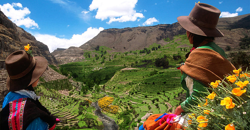 Ayacucho - Mamachas