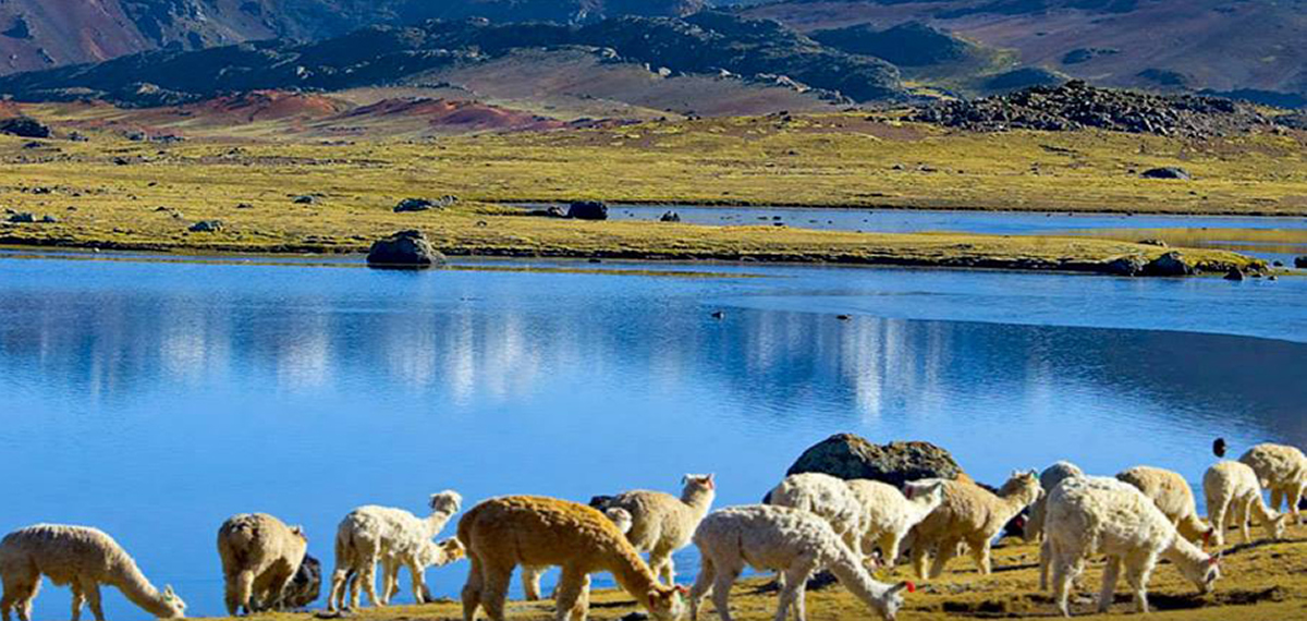 Pasco - Cerro de Pasco