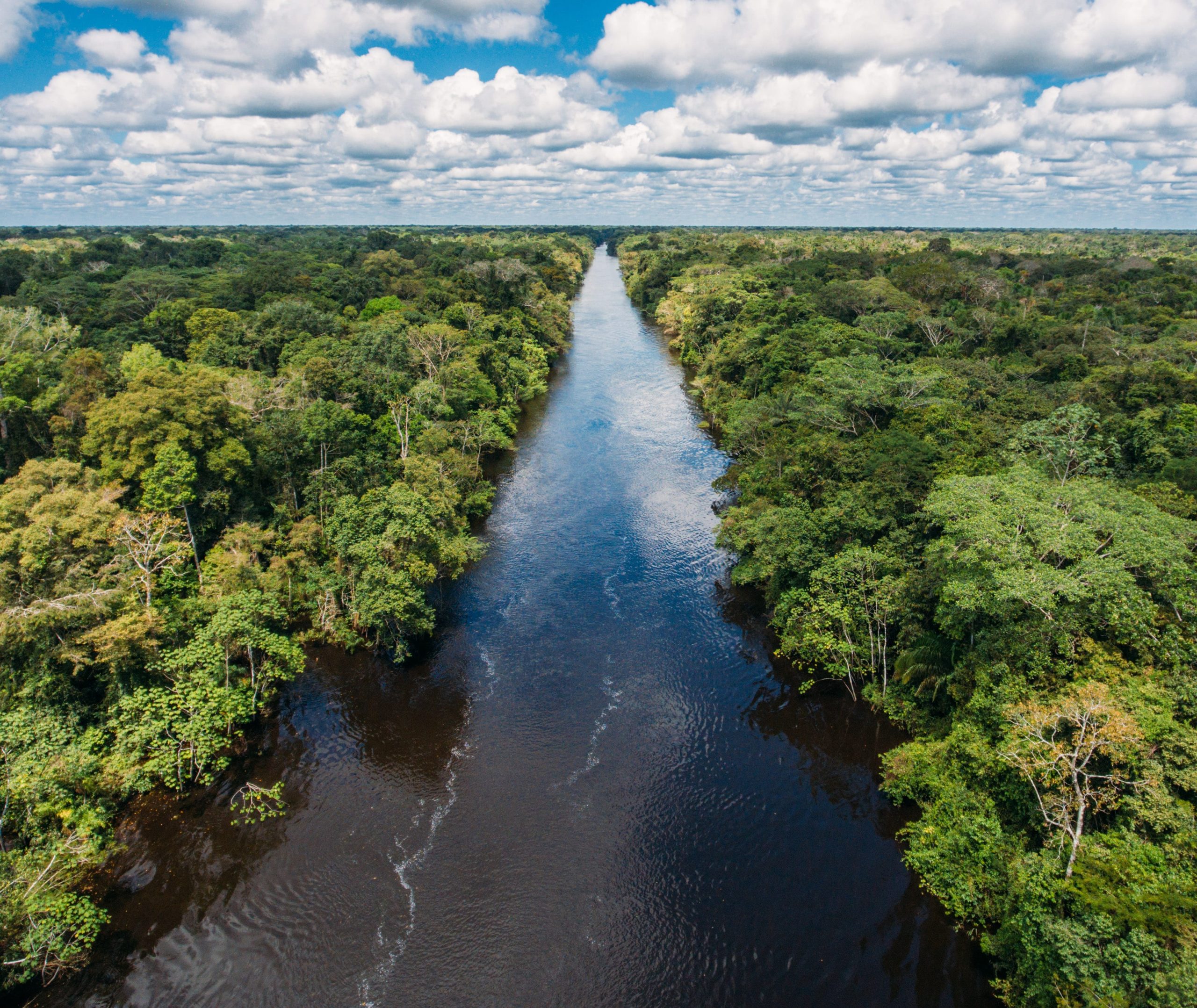 2.AMAZON JUNGLE